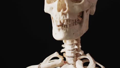 video of close up of halloween skeleton and copy space on black background