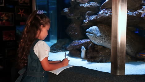 little girl watching tropical fish swimming in a tank