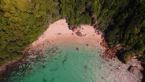 tropical beach paradise from above