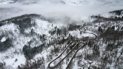 Luftaufnahme-Der-Straße-Zwischen-Schneebedeckten-Kiefern,-Gebirgskette,-Wintertag