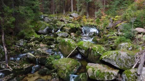 Fliegen-über-Einem-Flussbett-Voller-Mit-Moos-Bedeckter-Felsen-In-Einem-Nadelwald