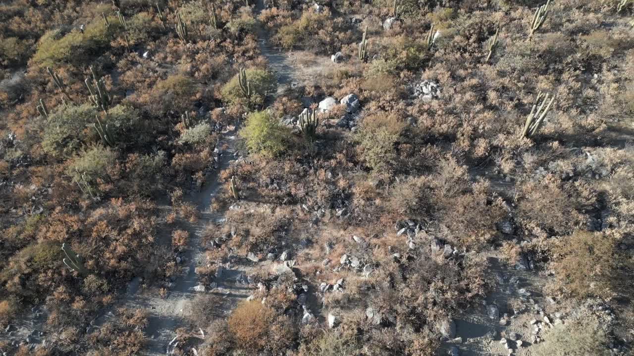 Vista aerea che sorvola la vegetazione nelle montagne dell'Argentina settentrionale, rivelando una fattoria