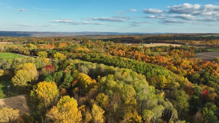 Afternoon autumn fall aerial view of Trumansburg NY USA. Located in the Finger Lakes Region near Ithaca, NY.