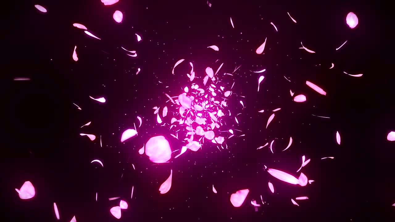los pétalos de los cerezos en flor cayendo sobre un fondo rosado, animación de brillo en bucle,