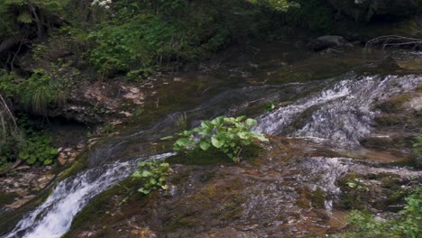 Parque-Nacional-De-La-Montaña-Tatra-Zakopane-Polonia