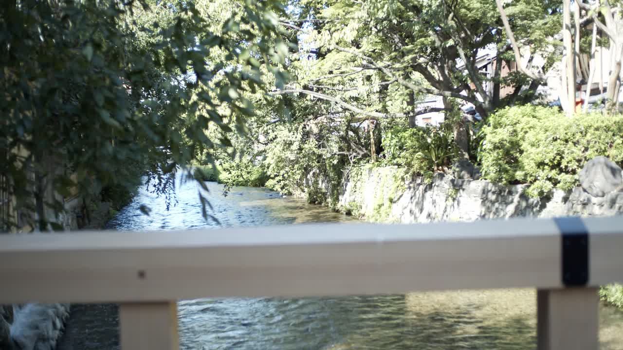 일본 교토의 녹색 잎이 있는 강 위의 다리를 바라보며 부드러운 조명 슬로우 모션 4k