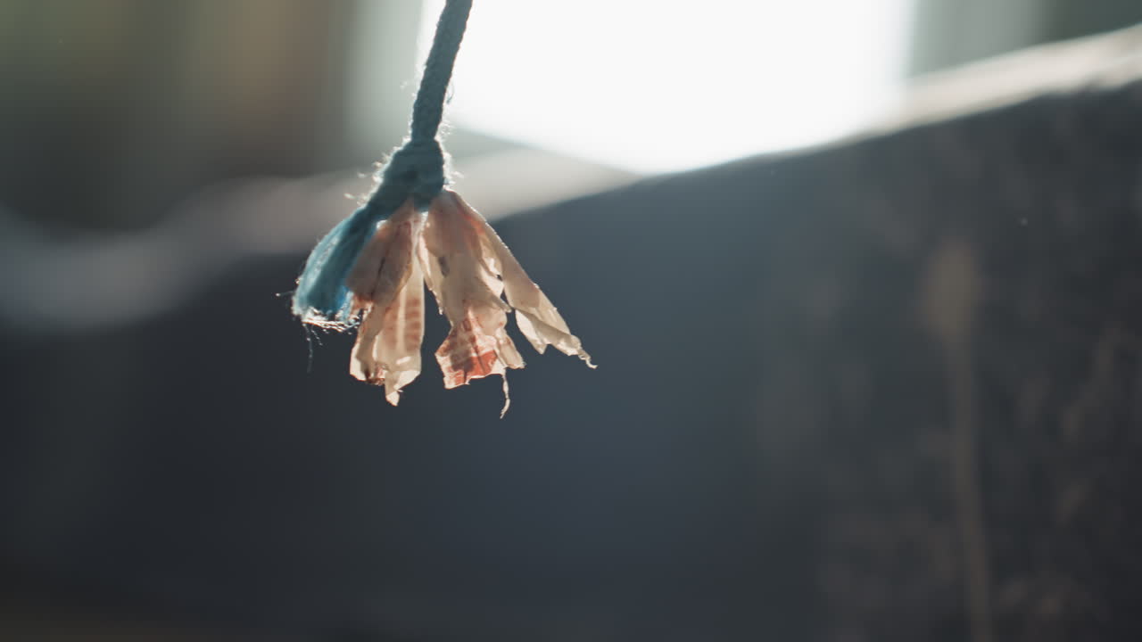 Nappa pendente illuminata dal sole alla finestra con delicati petali secchi su corda sfilacciata, profondità di campo ridotta, retroilluminazione calda con bokeh morbido e toni vintage attenuati, atmosfera intima e tranquilla e dettaglio interno rustico.