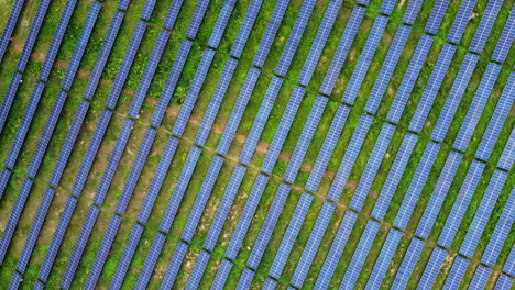 diagonal top view of photovoltaic solar panels in solar field on a sunny day