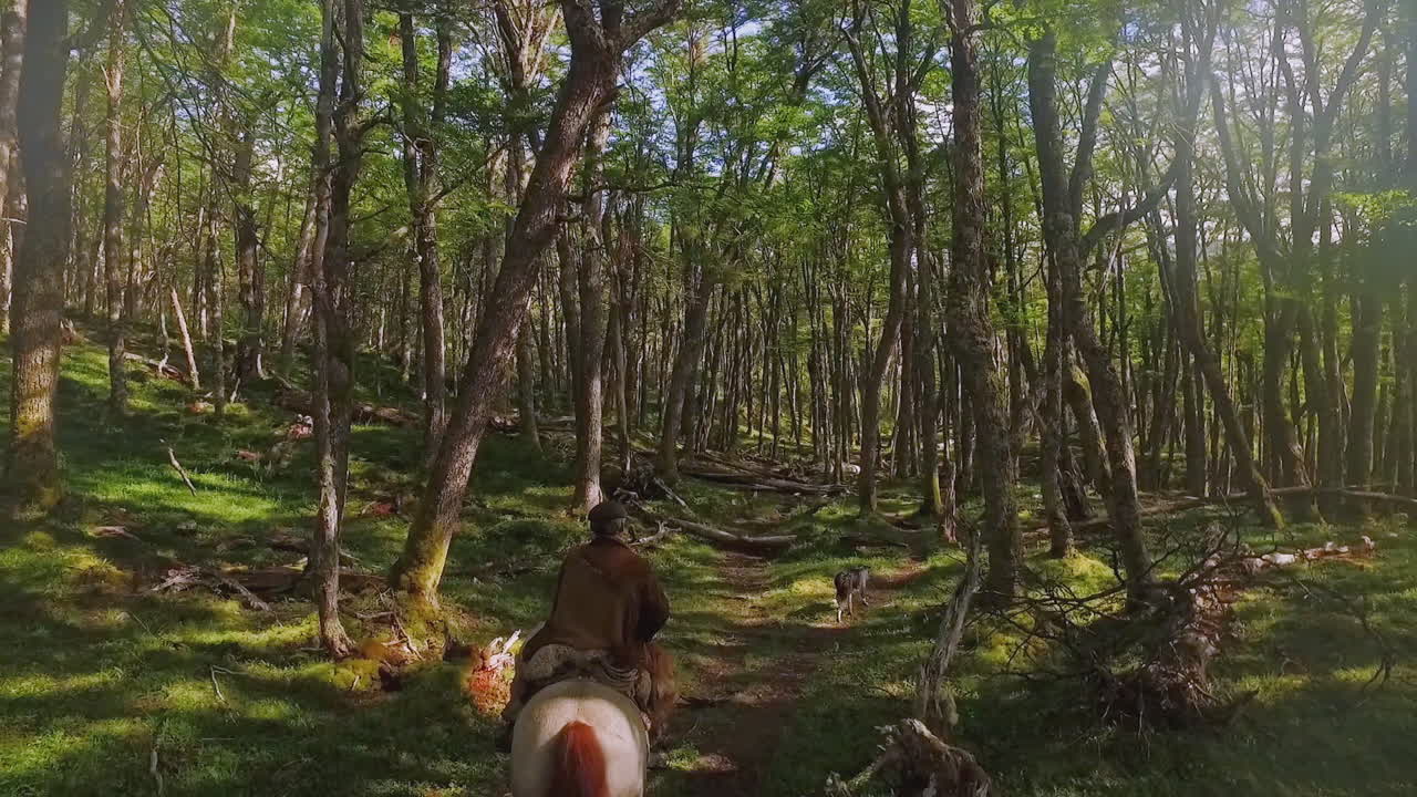 Un hombre monta a caballo a través de un bosque cubierto de musgo.