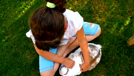 vista superior de una niña pequeña acariciando un conejo blanco esponjoso o hierba verde, 4k