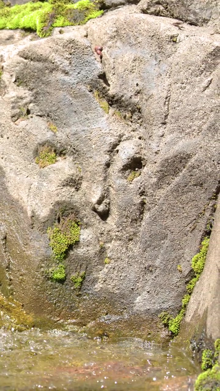 Primo piano statico di acqua limpida che scorre su rocce dalla superficie irregolare con chiazze di muschio verde