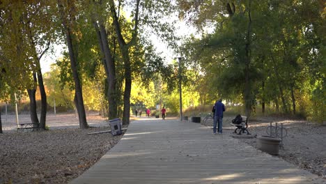 wooden boardwalk of woodbine beach in toronto going through forest park