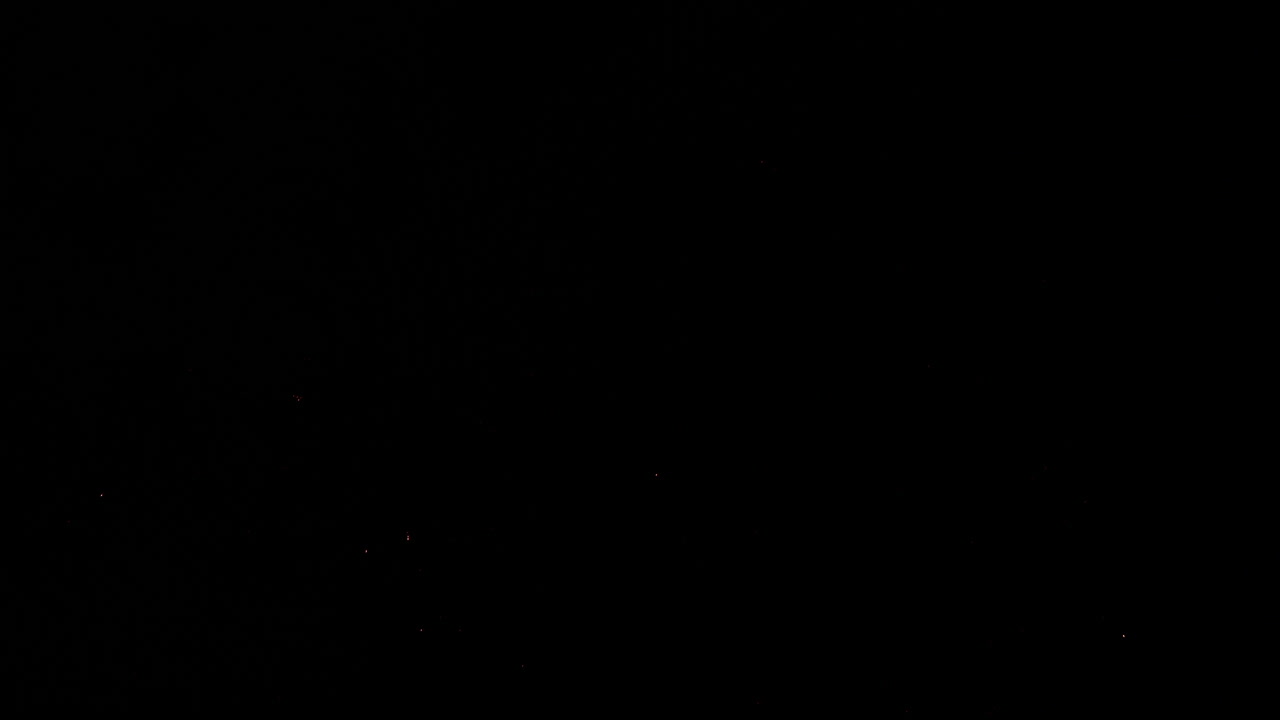 la luz colorida de los fuegos artificiales que explotan brilla en el cielo nocturno