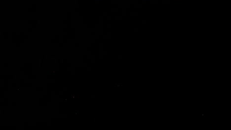 la luz colorida de los fuegos artificiales que explotan brilla en el cielo nocturno