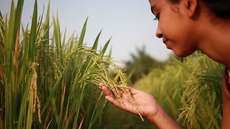 teenage girl inhaling the aroma of basmati rice in crop field