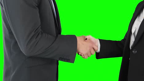 business people shaking hands
