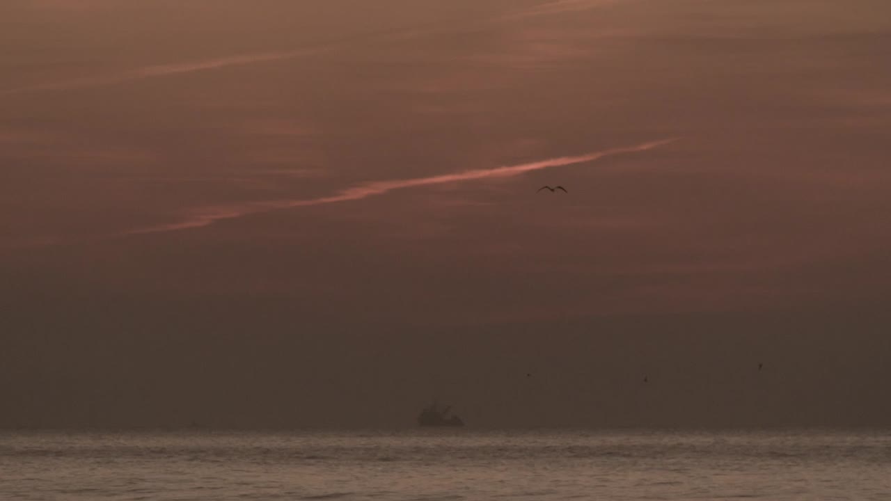 목가적인 바다 경치를 배경으로 극적인 일몰 하늘을 나는 새들