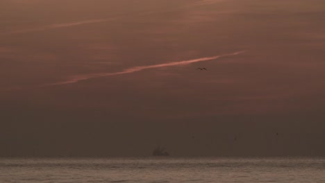 Pájaros-Volando-Contra-El-Espectacular-Cielo-Del-Atardecer-Sobre-El-Idílico-Paisaje-Marino