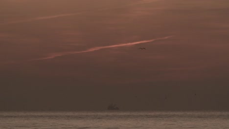 pájaros volando contra el espectacular cielo del atardecer sobre un idílico paisaje marino