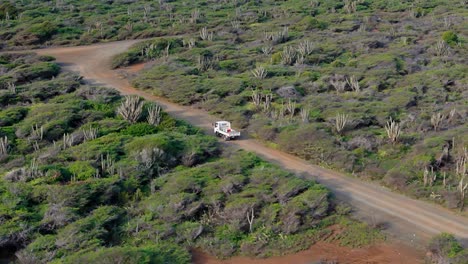 Flat-bed-utility-truck-drives-on-dirt-road-in-arid-dry-tropical-landscape-to-turn-at-intersection