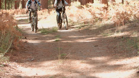 smiling couple cycling through a forest together, low angle