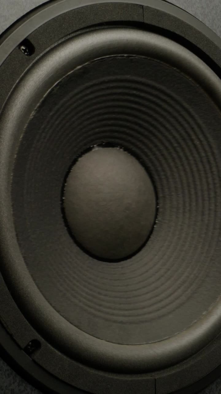 Close-up of a speaker woofer