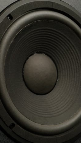 close-up of a speaker woofer