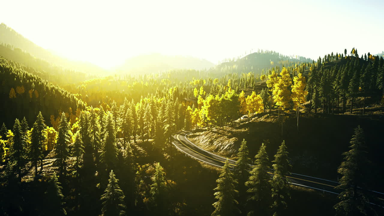 Forest landscape with sunlight illuminating trees in autumn season