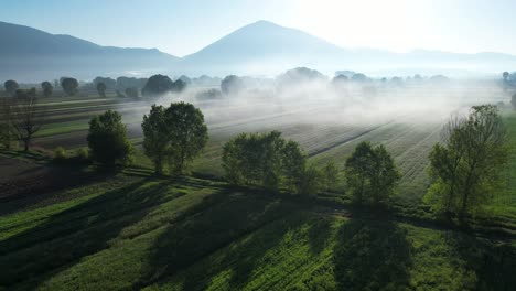 Nebligen-Morgen-Schönheit-Der-Frühlingsfelder-Mit-Wunderschön-Gepflegten-Parzellen-Und-Hohen-Bäumen-Umgeben,-Die-Magie-Der-Landwirtschaft