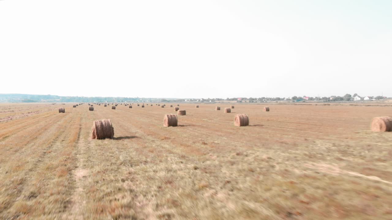 Güneşli bir yaz gününde yuvarlanmış saman balyaları. Buğday tarlasında saman balyaları. Kırsalda tarım arazisi. Tarım işletmeciliği. Hasat sonrası tarım tarlası. Kırsal tarlalar