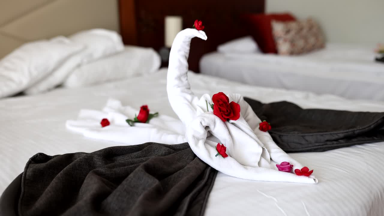 Regalo in camera d'albergo: asciugamani bianchi con l'immagine di un cigno su letto matrimoniale con petali di rosa.
