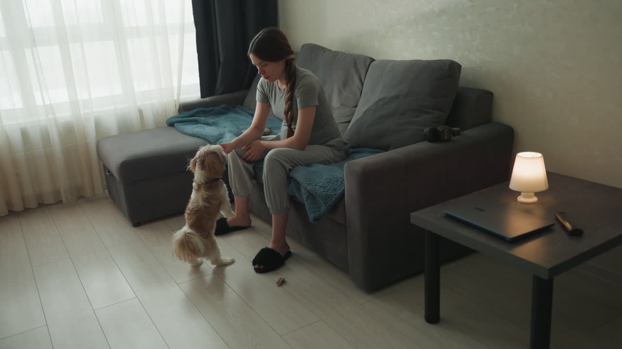 Koltuk yanında yerde köpeğiyle oynayan bir kadının samimi iç mekan sahnesi. Sıcak lamba ışığı ve örgü battaniye, gün içinde rahat ve eğlenceli bir mola atmosferi yaratıyor. Neşeli etkileşim, nazik ödüller ve paylaşılan anlar.