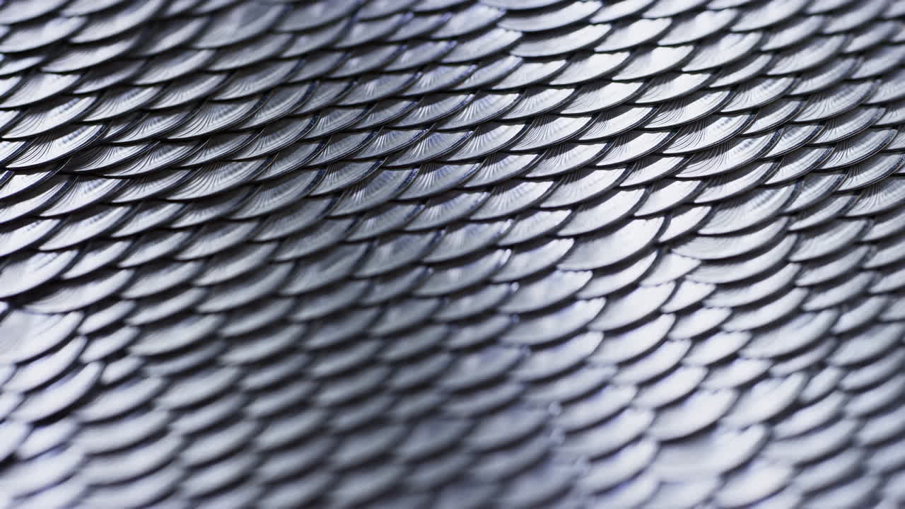Close-up de Textura de Escamas Metálicas, Padrão Cintilante de Escamas Curvas Sobrepostas em Tons de Azul Prateado Frio, Suave