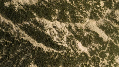 dry stripes of land between scarce vegetation in arid area, georgia