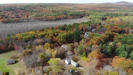 drone pan down to bright autumn colors in a wooded neighborhood with houses dotting each side of the road that winds through the area