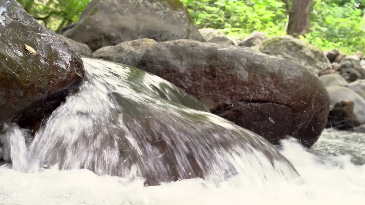 misterioso arroyo rápido montañoso. paisaje mágico río en medio del bosque. video en bucle continuo.