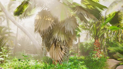 background-of-natural-palm-leaves-tree-branch