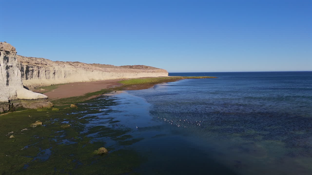 Aerial fly natural Patagonian environment, seagulls at coastal dunes landscape in Puerto Madryn, Argentina