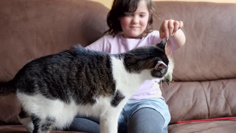 Süßes-Kleines-Mädchen,-Das-Mit-Der-Katze-Auf-Dem-Sofa-Spielt