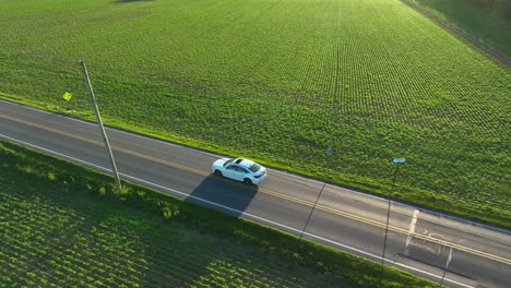 aerial tracking shot of white sedan