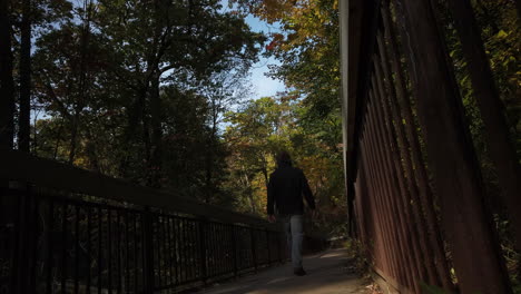 Hombre-Alejándose-De-La-Cámara-En-Un-Paseo-Marítimo-De-Madera-En-El-Bosque