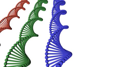 secuencia de código genético de arte de proteínas de adn