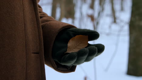 gloved hand holding an autumn leaf in a snowy winter forest