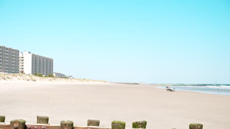 Man-Fishes-on-New-Jersey-Beach-in-Front-of-Condo-Towers