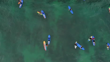 turistas flotando en tablas de surf alquiladas durante sus vacaciones