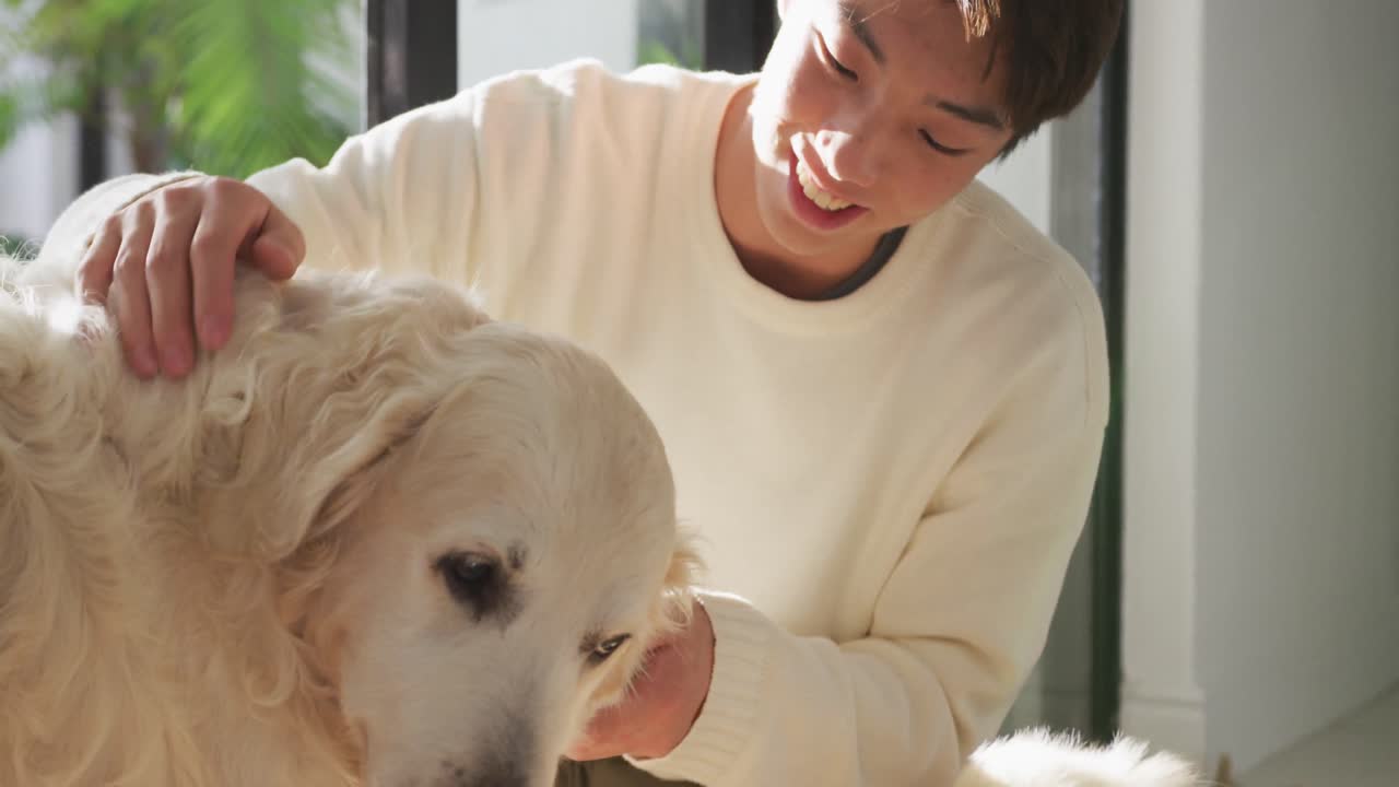 행복 한 아시아 남성 십대 는 거실 에서 개 들 을 키우고 있다