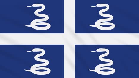 martinique flag waving cloth, background loop