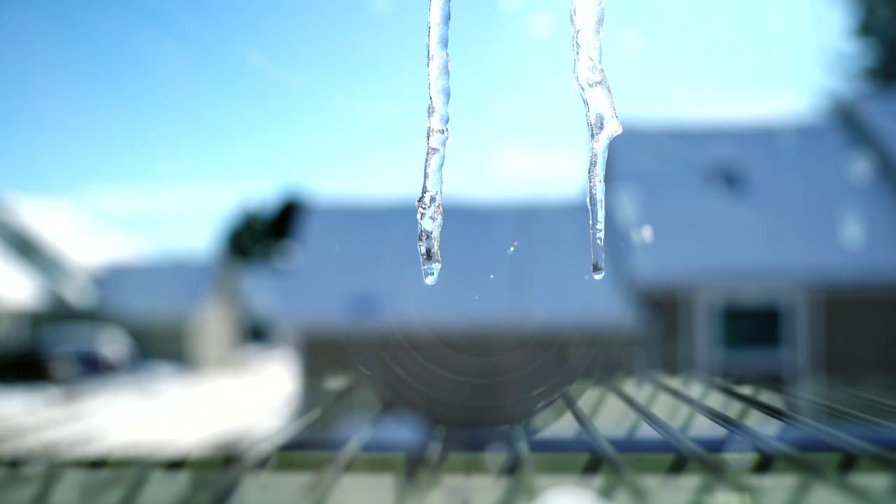 녹는 얼음 어리 들 의 근접적 인 모습