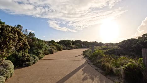 scenic pathway with lush greenery and sunset