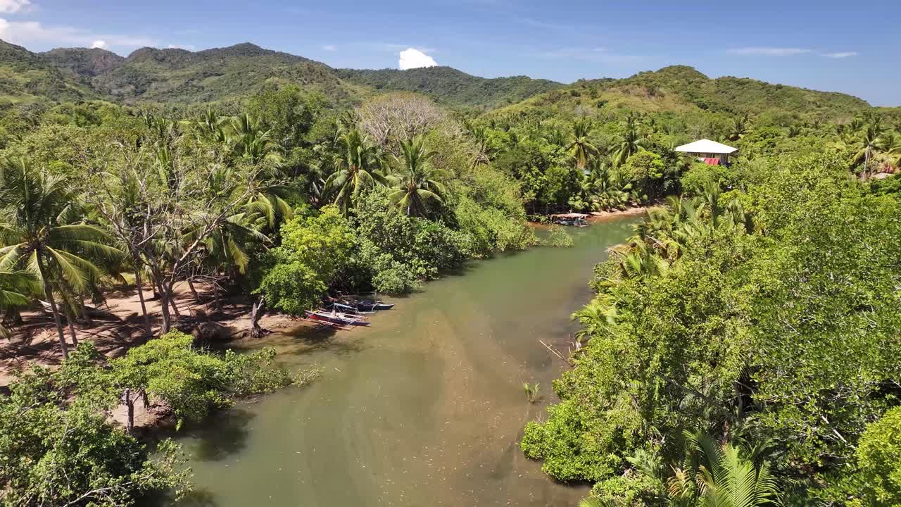 Green tropical landscape with mountains, river, and palm trees in Busuanga